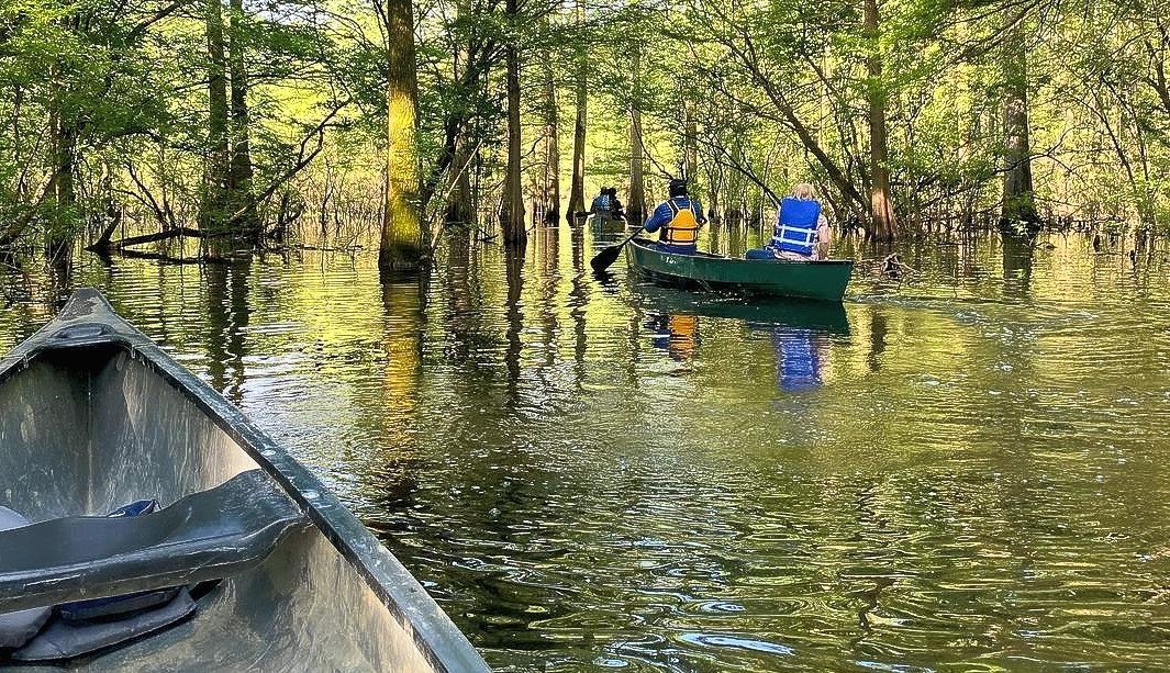 Canoeing in Meeman-Shelby State Park in Millington TN