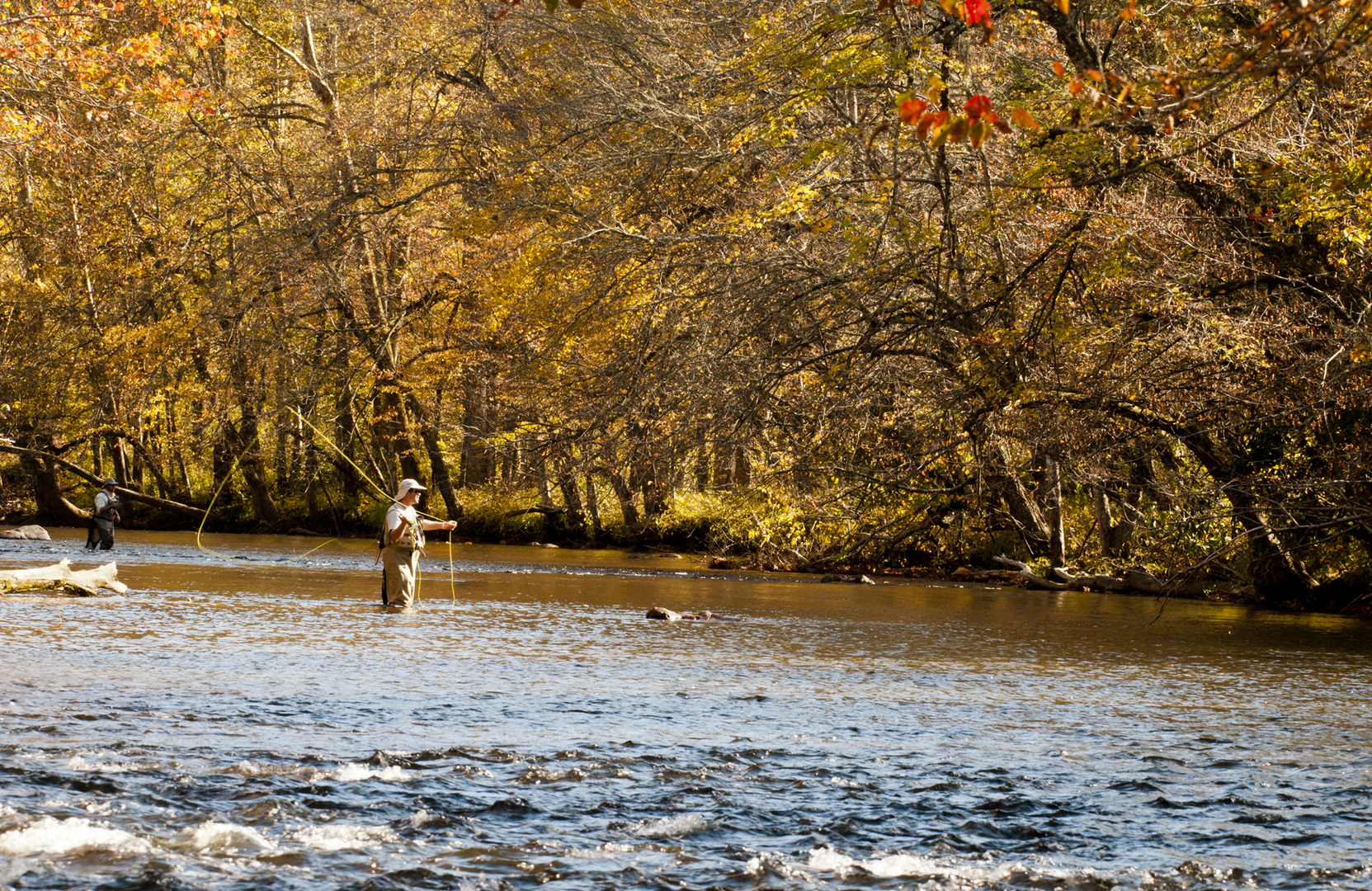 Fly fishing in Blount County