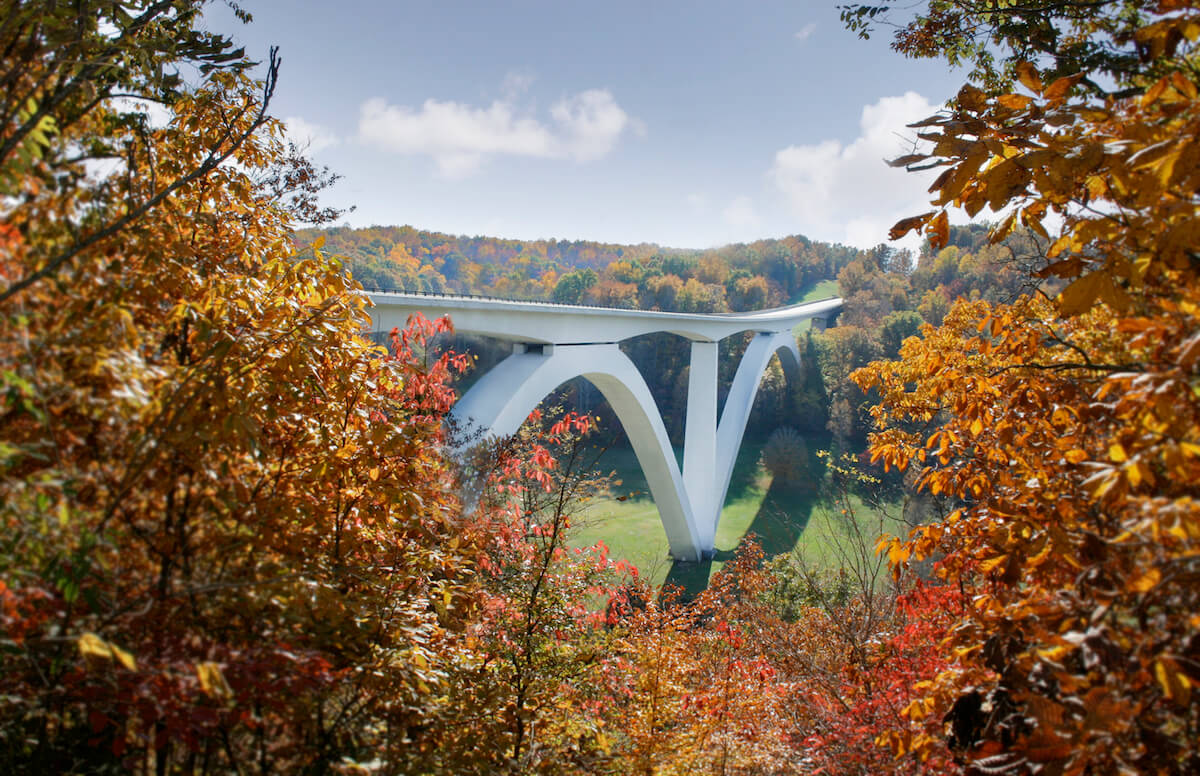 Three Days of Leaf Peeping in Franklin