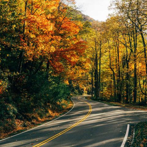Fall foliage in Tennessee