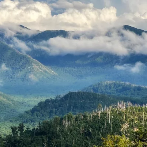 Escape to the mountains in Tennessee this Labor Day Weekend