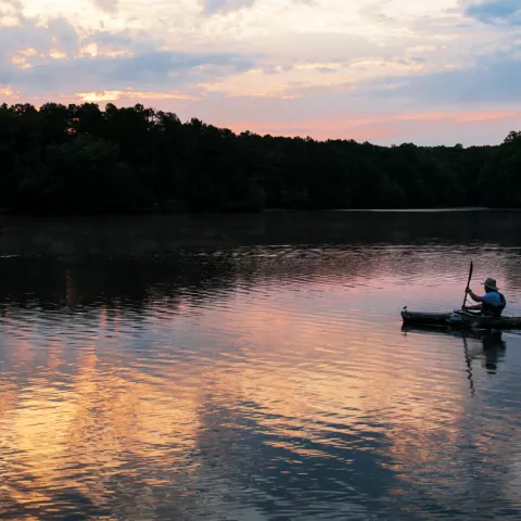 Natchez Trace State Park