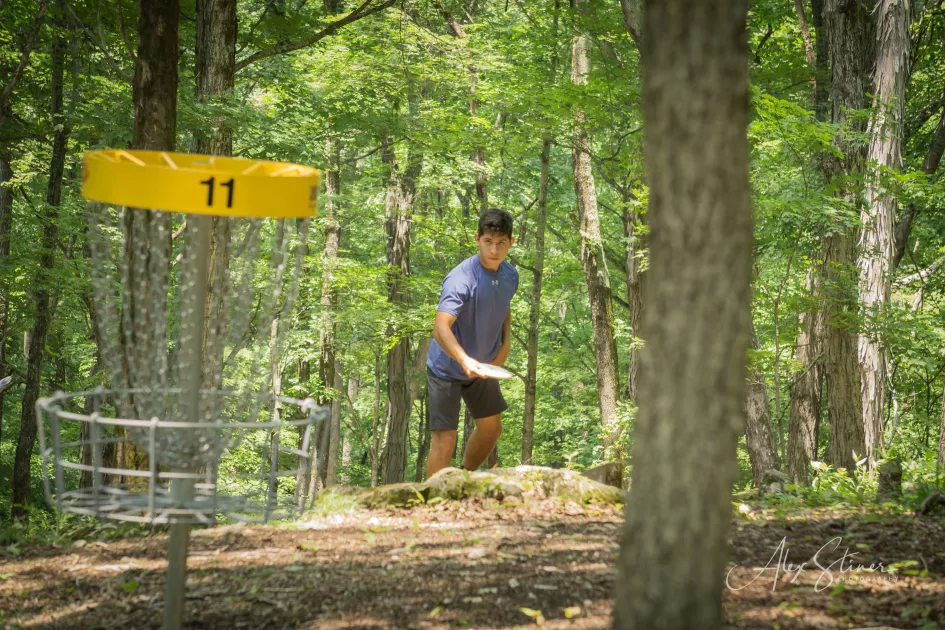 Basket in the woods