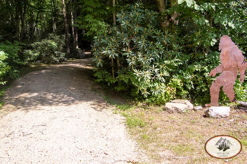 Hiking Trail at  Doe River Landing, campground in Roan Mountain, Tennessee.