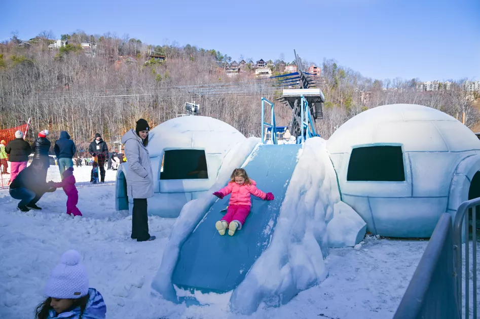 Snow Zone
