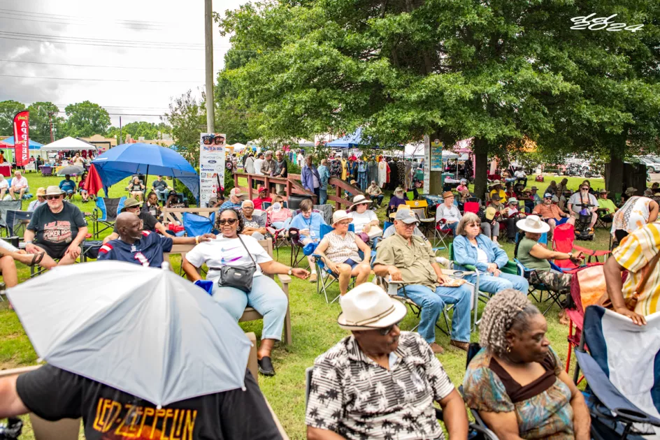 Fans gather around the main stage for Exit 56 Blues Fest. Bring your chairs.