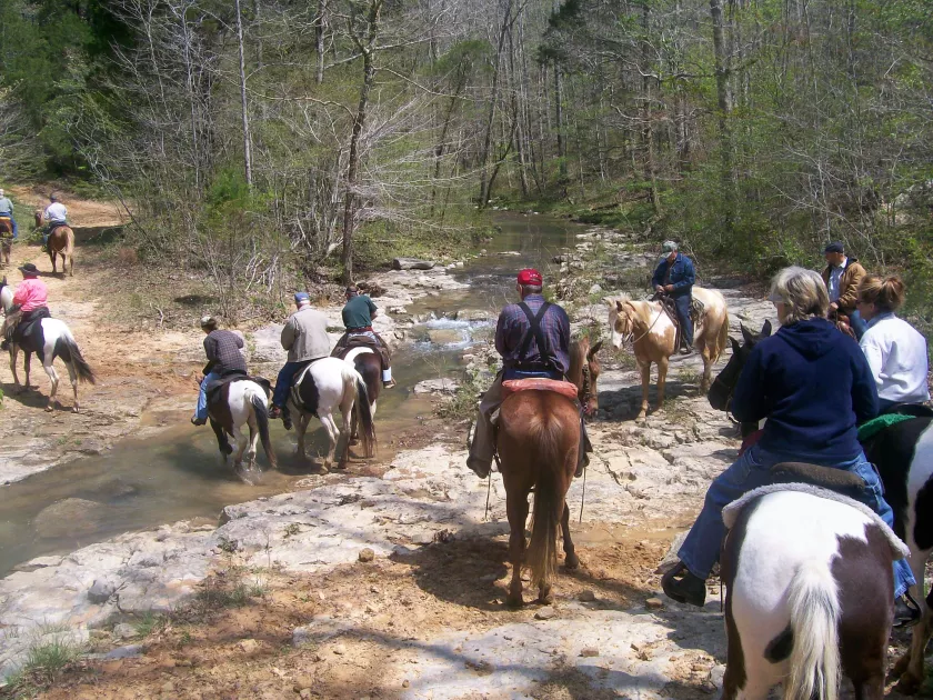 120 Miles of Trails