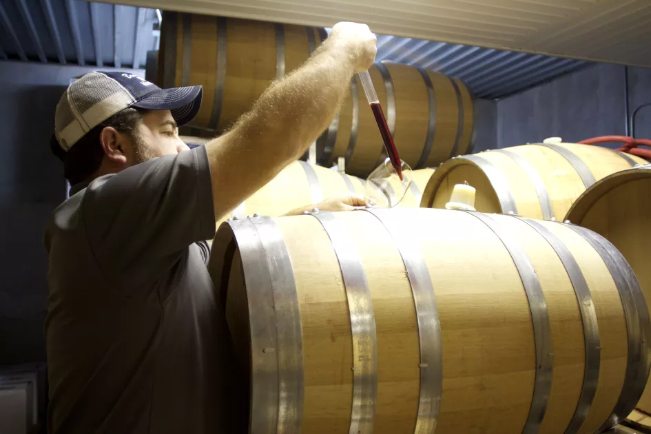 winemaker